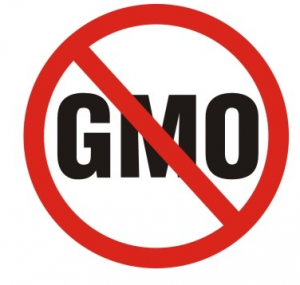 GMO free
